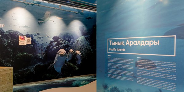 Astana EXPO 2017: International Pavilion